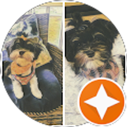 Profile photo of Barbara Burgchardt