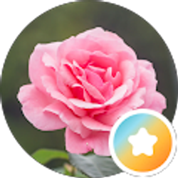 Profile photo of reta