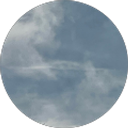 Profile photo of Triel Mcknight