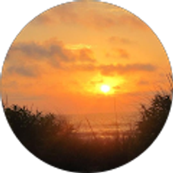 Profile photo of Helena Williams