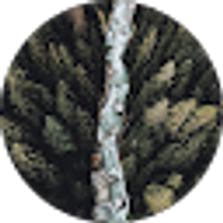 Profile photo of Joleen Frost