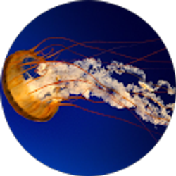 Profile photo of Justin