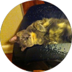 Profile photo of Progress