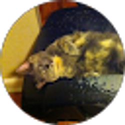 Profile photo of Progress