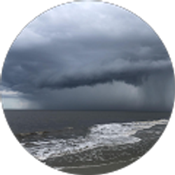 Profile photo of Liesl Von Trapp