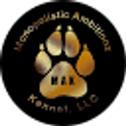 Profile photo of Monoplistic Ambitionz