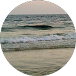 Profile photo of Everyday Miracles