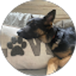 Profile photo of Alexis Campbell