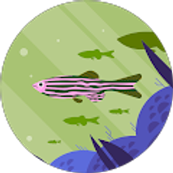 Profile photo of Mark Depierro