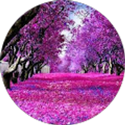 Profile photo of Val Johnson