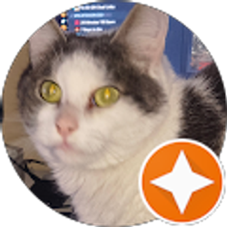 Profile photo of Jaden Peralta