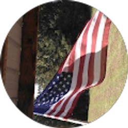 Profile photo of Bald eagle