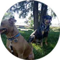 Profile photo of Nelson Pena