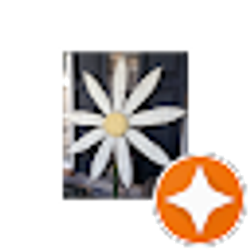 Profile photo of Karen Brown