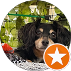 Profile photo of Sandra Towey