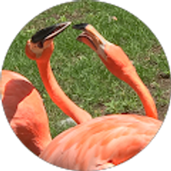 Profile photo of Marnie Ide