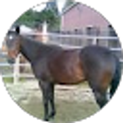 Profile photo of Nicole Giles