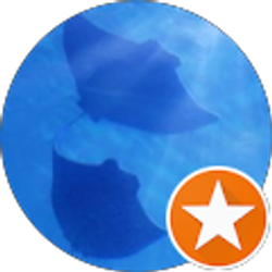 Profile photo of Bulldog03 Leatherneck