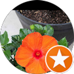 Profile photo of Sandra Guerra