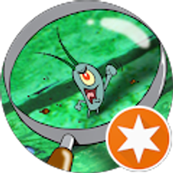 Profile photo of Damaris Velez