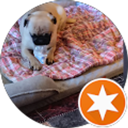 Profile photo of Mary Trudell