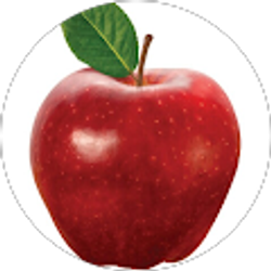 Profile photo of Osiel Hernandez