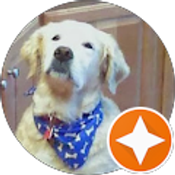 Profile photo of CrazyHeat59