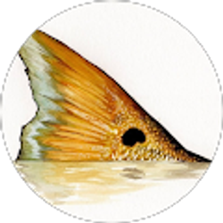 Profile photo of Spence Colwell