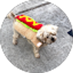 Profile photo of Leslie