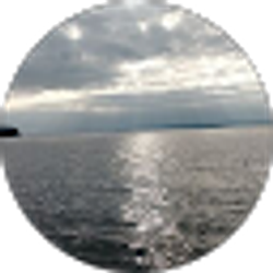 Profile photo of Sabriyya Harris