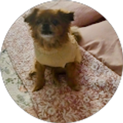 Profile photo of teresa duty