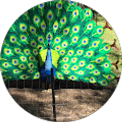 Profile photo of Catherine White