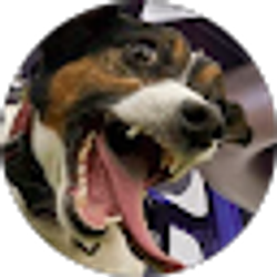 Profile photo of Stealing Lucky