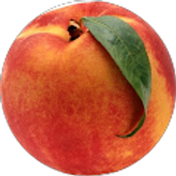 Profile photo of Evelyn Hendrix