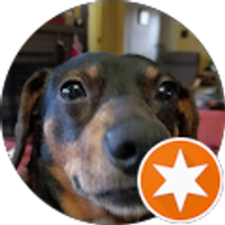 Profile photo of Debbie Hanchett