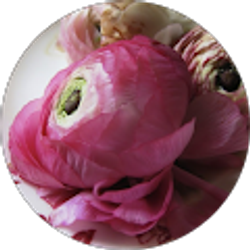 Profile photo of LO BLOUSTEIN