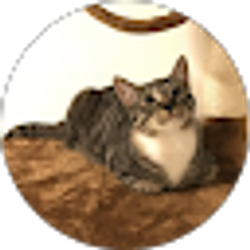 Profile photo of Zack Yang