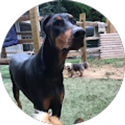 Profile photo of Lezley G