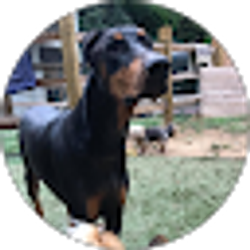 Profile photo of Lezley G