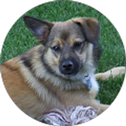 Profile photo of Rhonda Flem