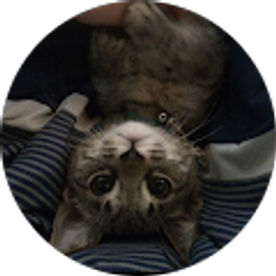 Profile photo of Jean Marie Jingco