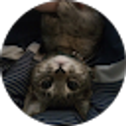 Profile photo of Jean Marie Jingco