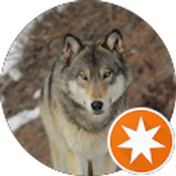 Profile photo of Frank Morales