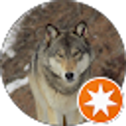 Profile photo of Frank Morales