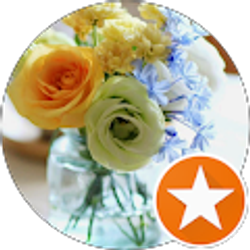 Profile photo of Faye Xu