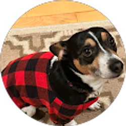 Profile photo of H Mansoor