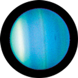 Profile photo of Nick Edwards