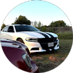 Profile photo of Majestic 771