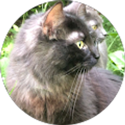 Profile photo of Marcus Bowshier