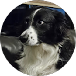 Profile photo of Tim Reid